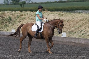 ISIS Dressage Challenge 2008